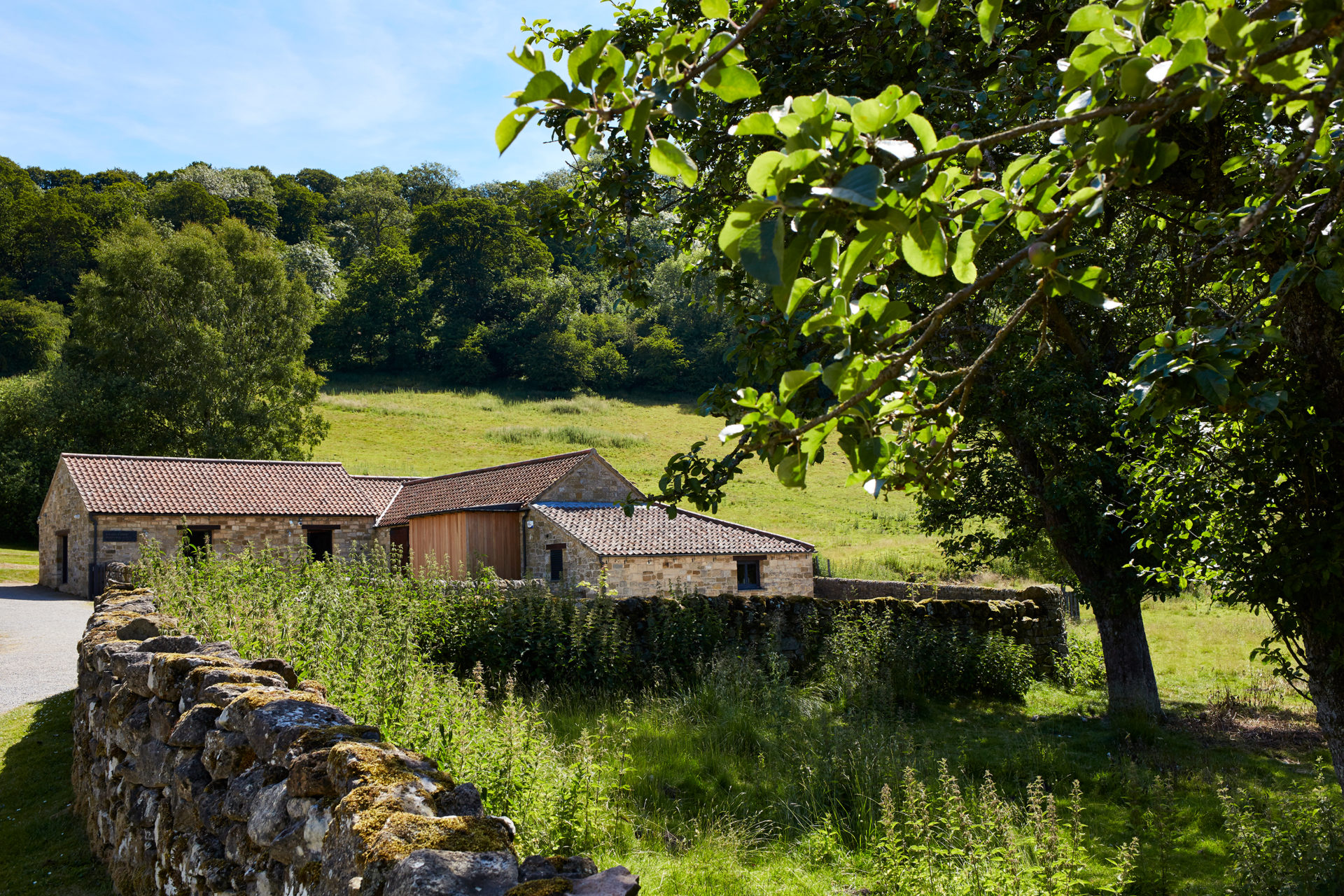 English_Heritage_Rievaulx_Abbey-scaled.jpg