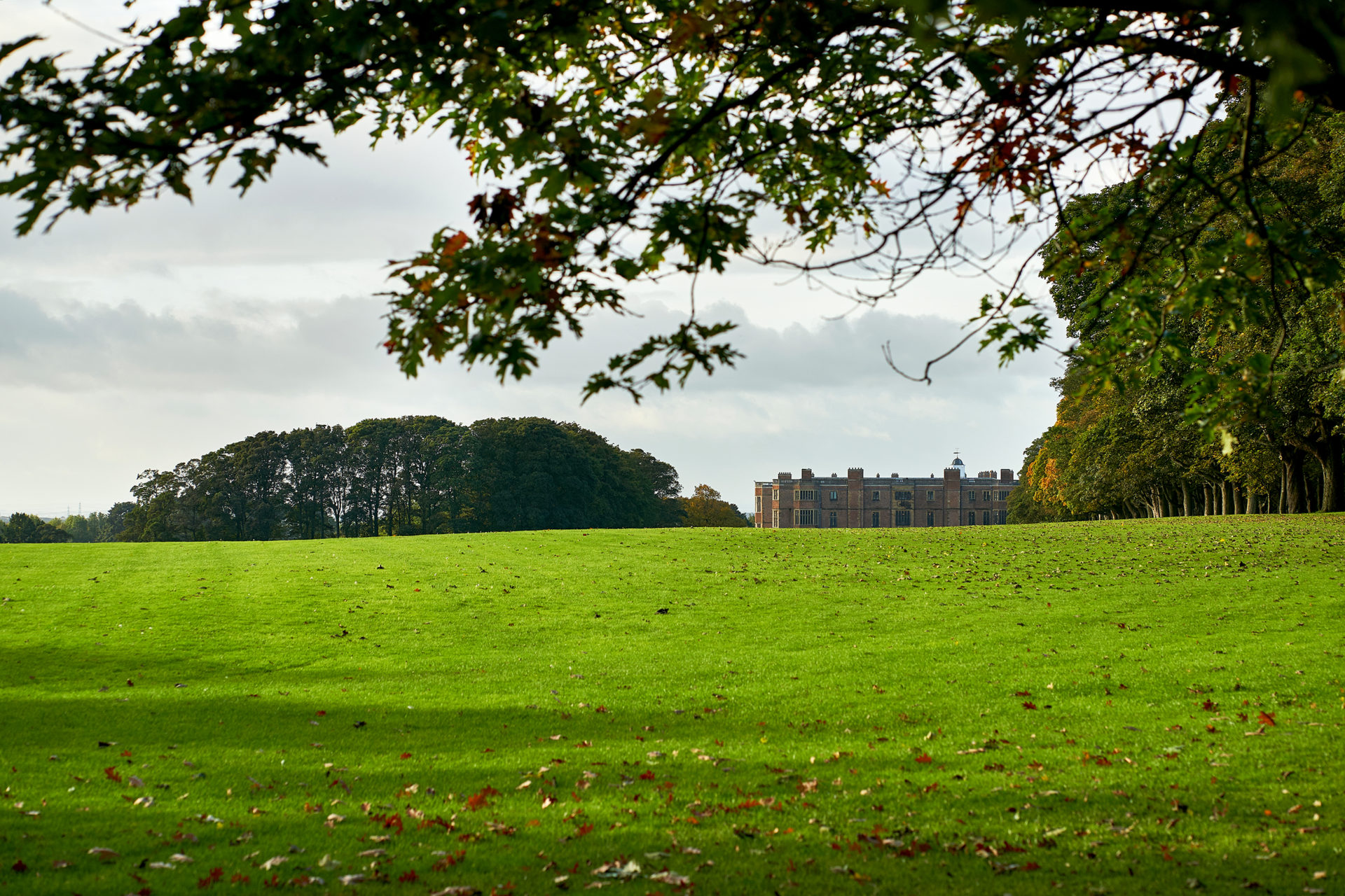 Temple_Newsam_Photo1-scaled.jpg
