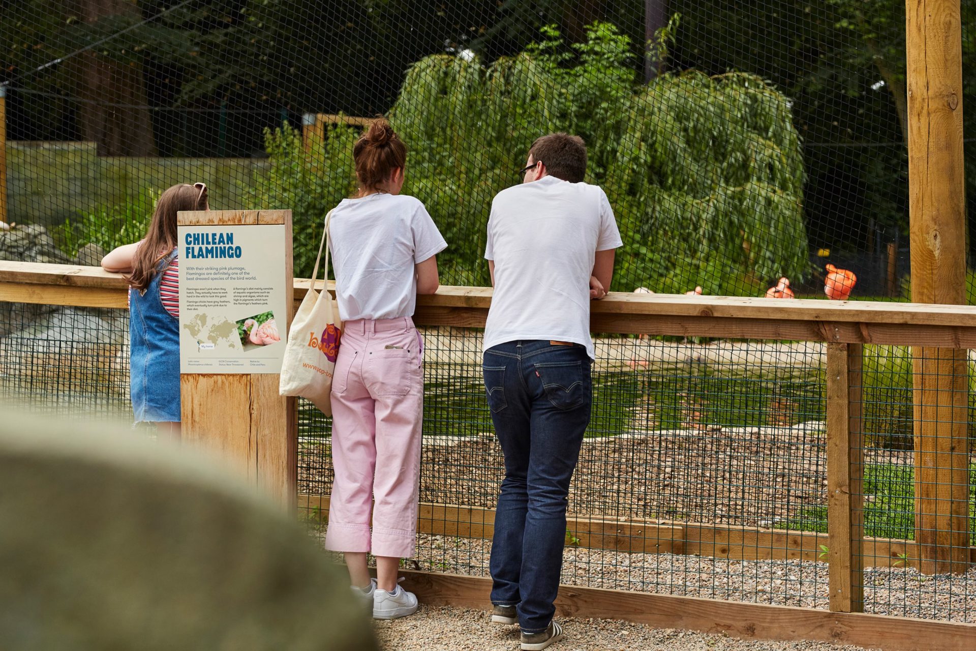 Wildlife_World_03_Interpretation-scaled.jpg