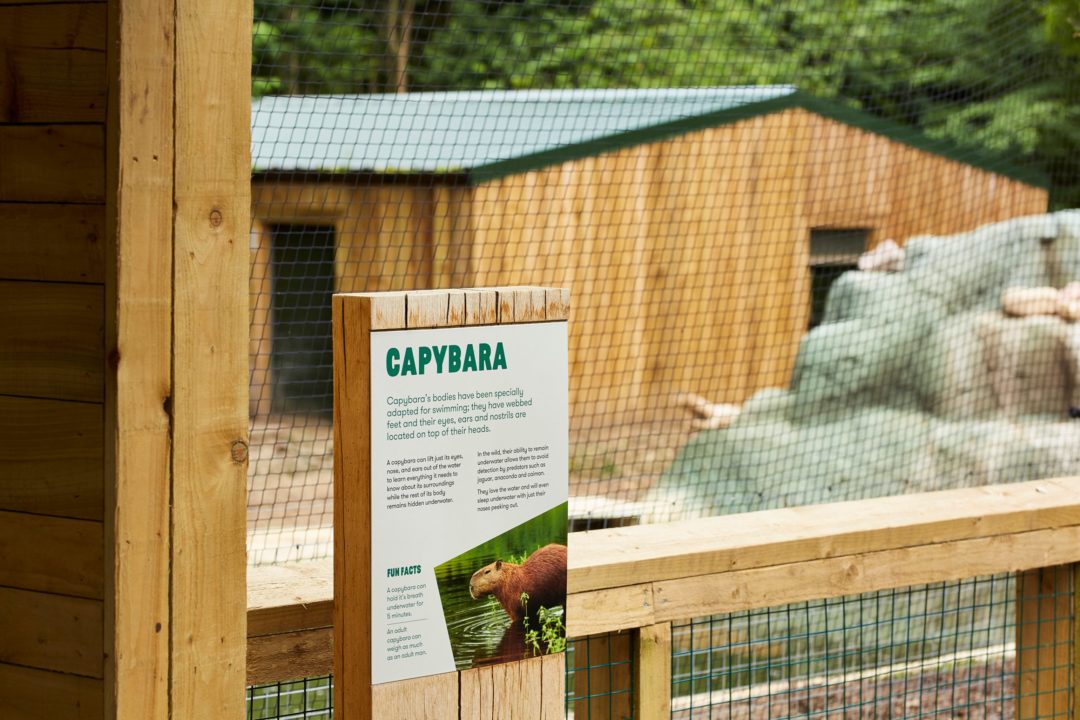 Wildlife_World_05_Zoo_Interpretation-scaled.jpg
