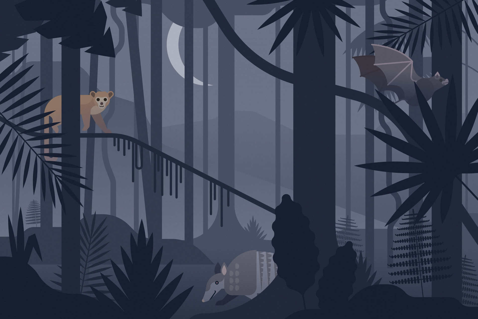 Wildlife_World_illustration-scaled.jpg